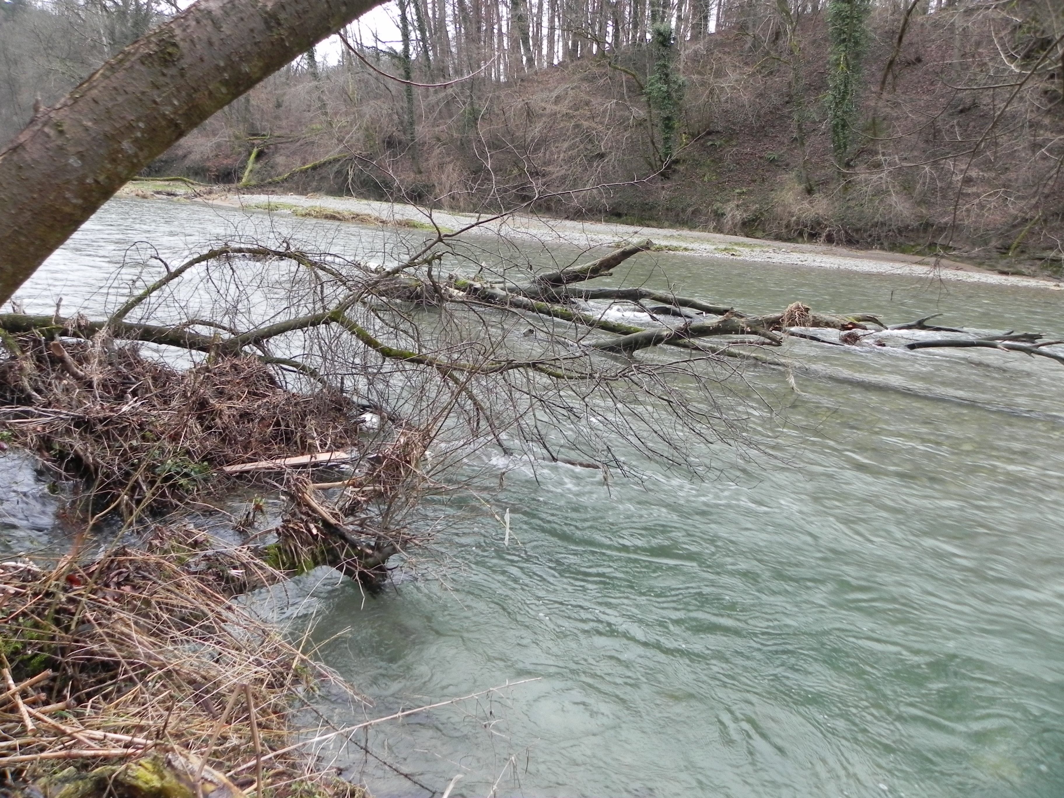 tösseindrücke - einige hochwasser später