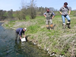 arbeitende und zuschauende