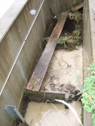 verstopfte fischreppe